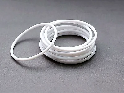 PTFE O-Ring